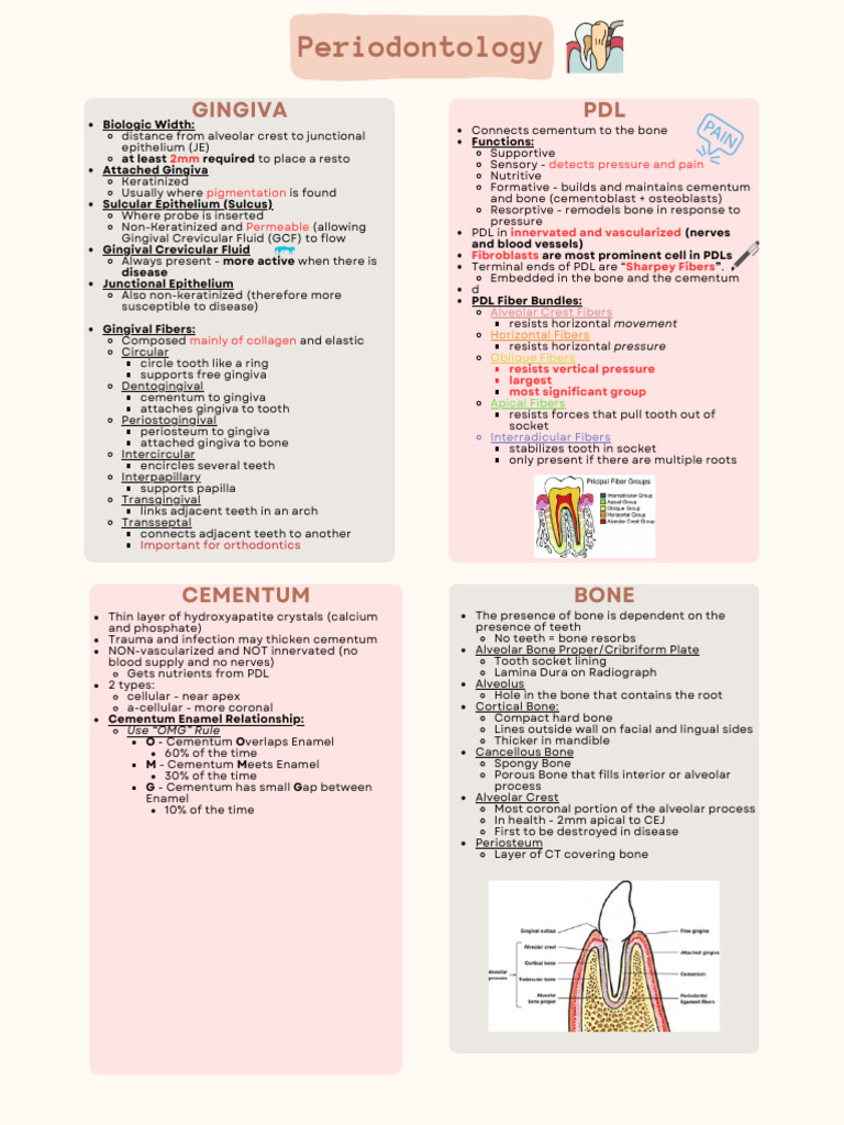 Understanding Periodontal Disease Staging | PDF | Periodontology ...