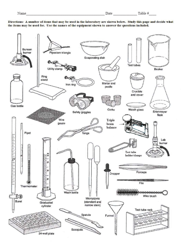 Lab Equipment Identification Quiz | PDF