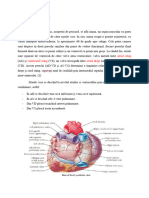 1. Anatomia Coronariană - Citit