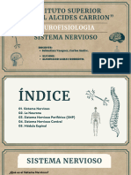 Sistema Nervioso