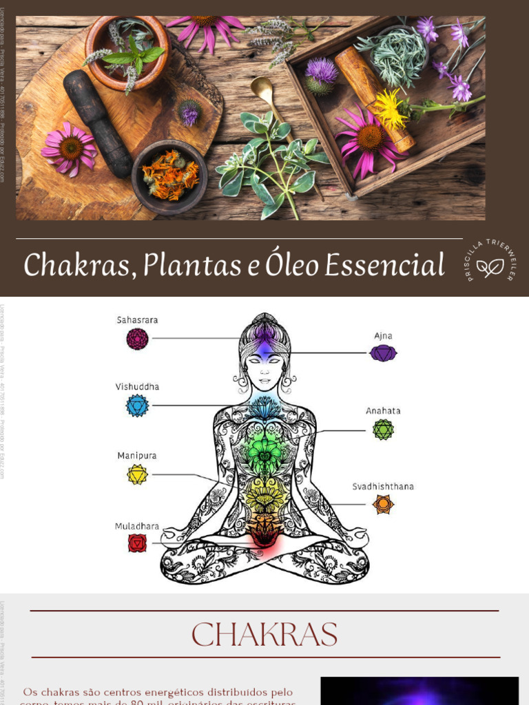 Chakras Plantas e Oe 1 | PDF | Chacra | Corpo humano