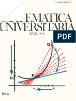 Matemática Universitaria - Análisis ( PDFDrive )