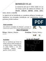 Biomoleculas