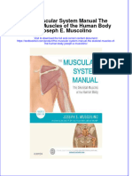 Download pdf The Muscular System Manual The Skeletal Muscles Of The Human Body Joseph E Muscolino ebook full chapter 