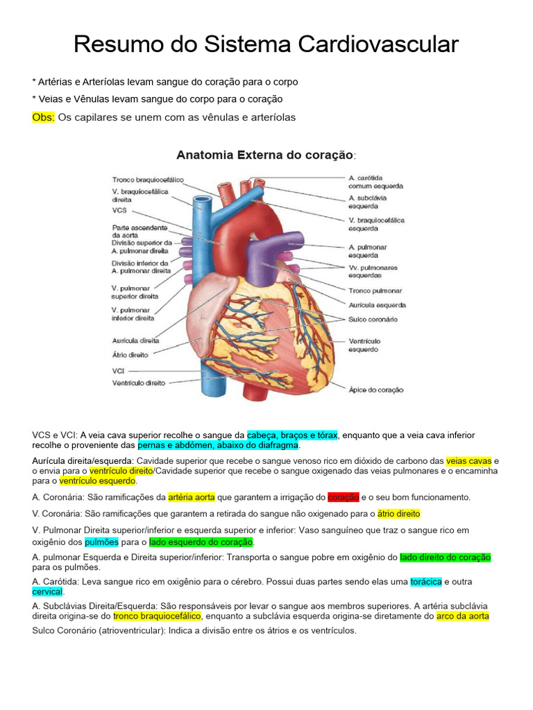 Resumo Do Sistema Cardiovascular | PDF | Ventrículo (coração) | Coração