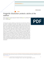 Aragonite Dissolution Protects Calcite at The Seaf