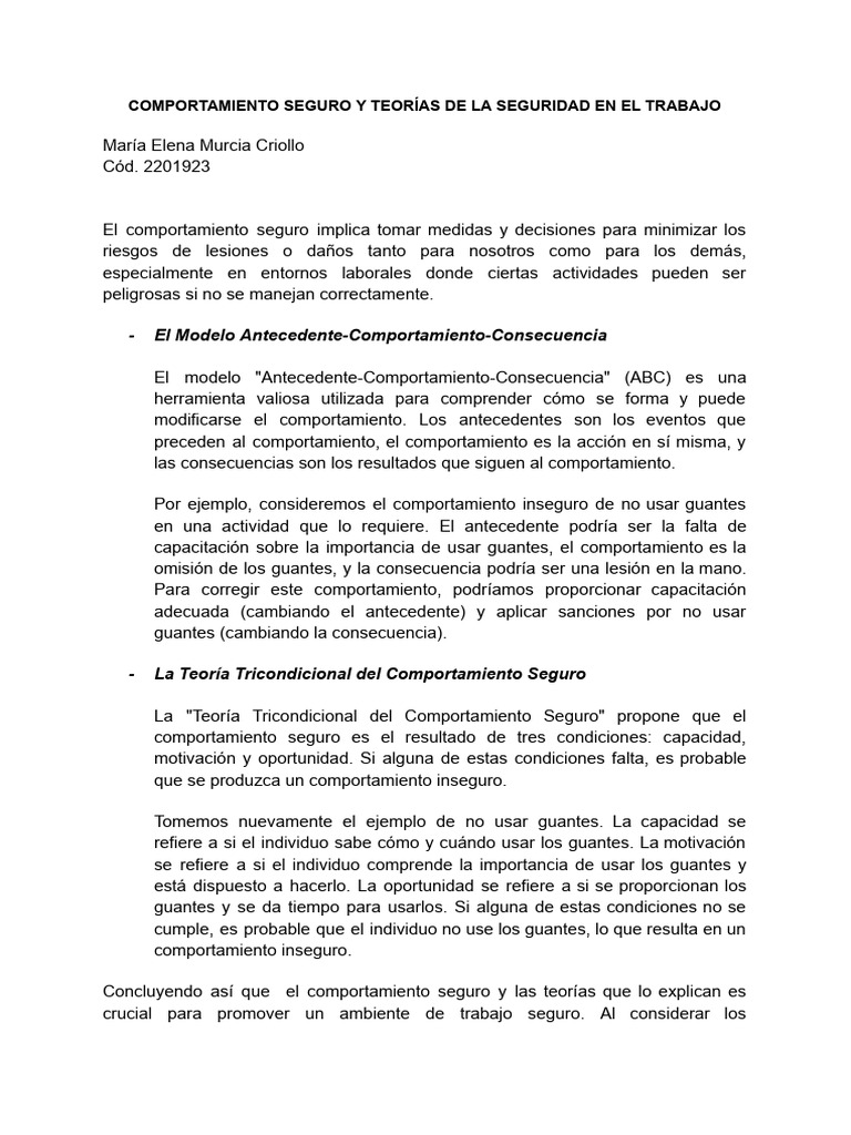 Comportamiento Seguro y Teorías de La Seguridad en El Trabajo | PDF ...