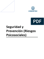 Manual 2023 02 Riesgos Psicosociales