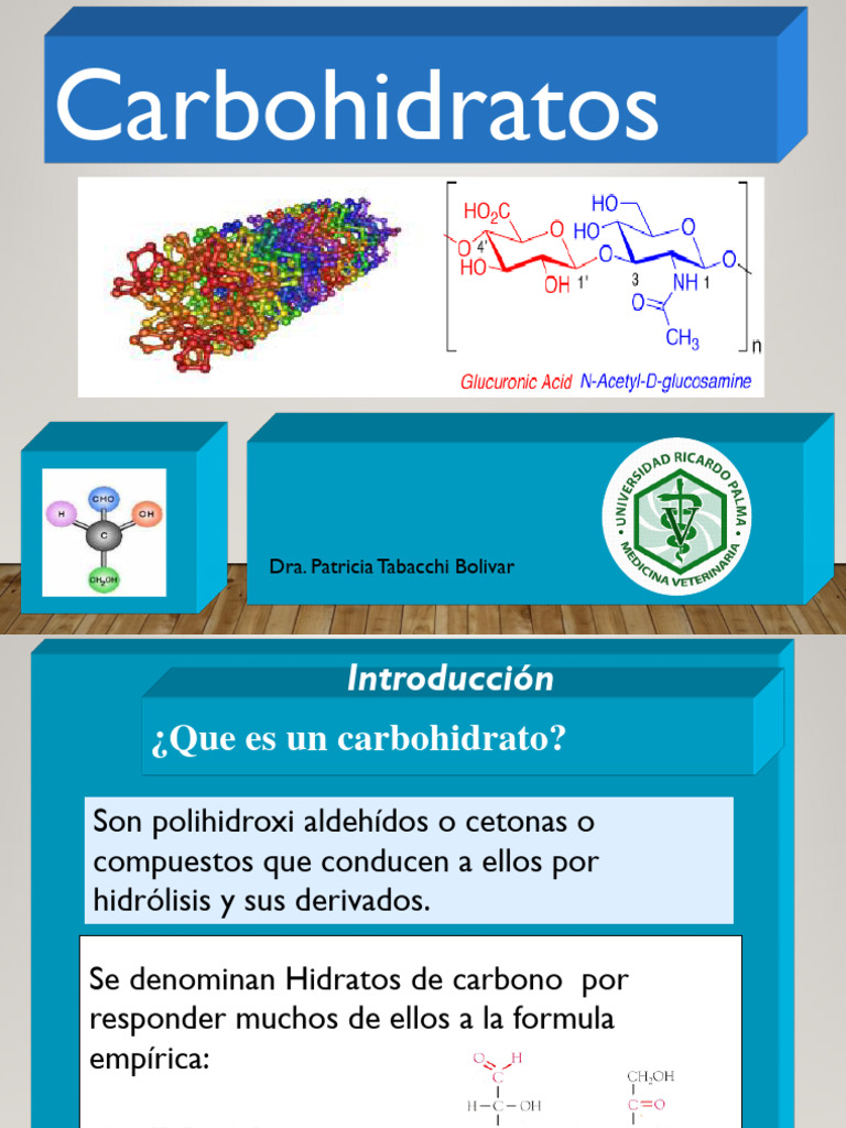 Carbohidratos Estructura Y Clasificación Bioquimica Animal 2024 Pdf