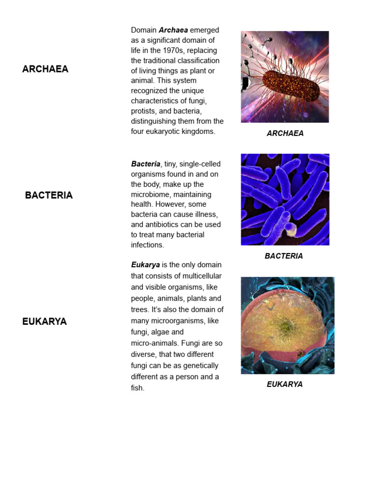 Domains of Life: Archaea, Bacteria, Eukarya | PDF
