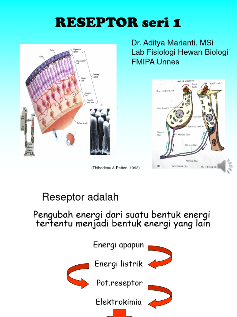 Reseptor Gabungan | PDF