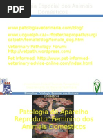 Aula Reprodutor Feminino