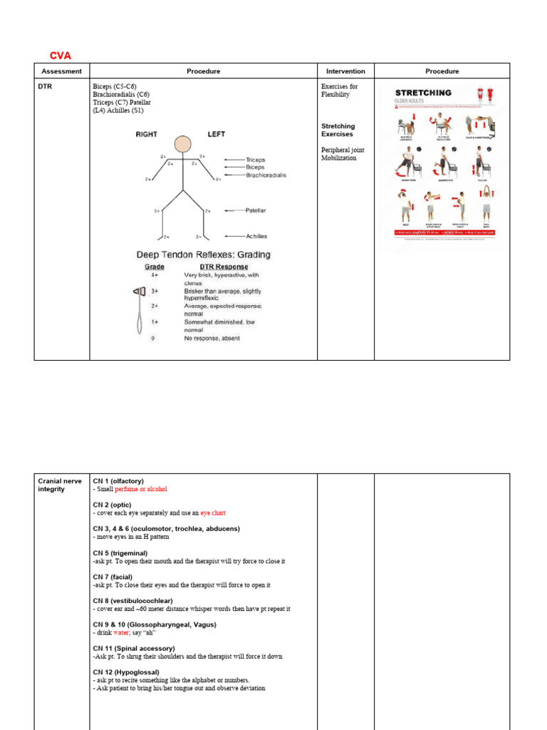 Rot Notes | PDF | Human Leg | Foot