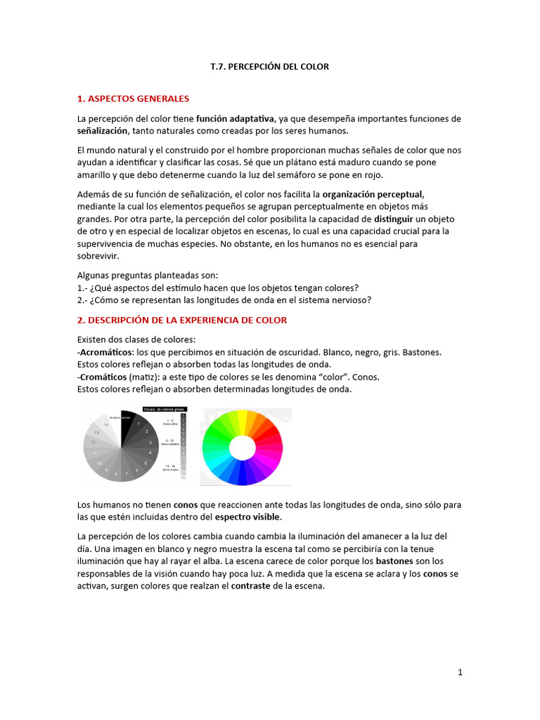 Percepción del Color: Teoría y Funciones | PDF | Color | Amarillo