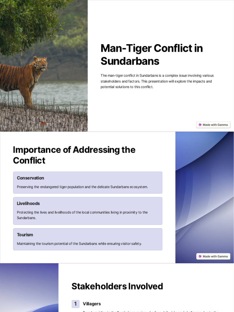 Man-Tiger Conflict in Sundarbans | PDF | Tiger | Conservation Biology