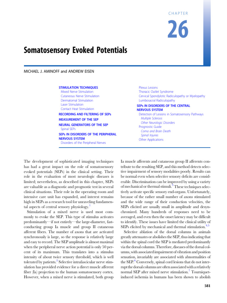 Somatosensory Evoked Potentials Overview | PDF | Neural Oscillation | Nerve