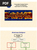 membrana biologica