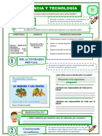 1°nos Informamos Sobre La Nutrición para Evitar enfermedades-FICHA