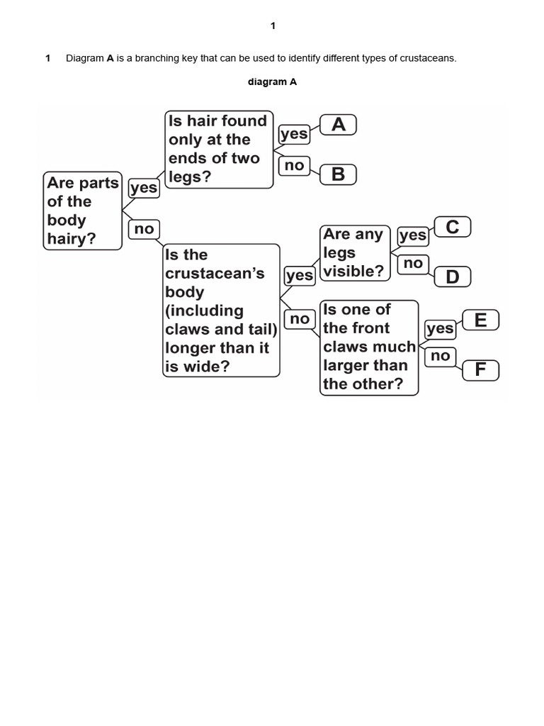 Crustacean and Tree Identification Keys | PDF | Zoology