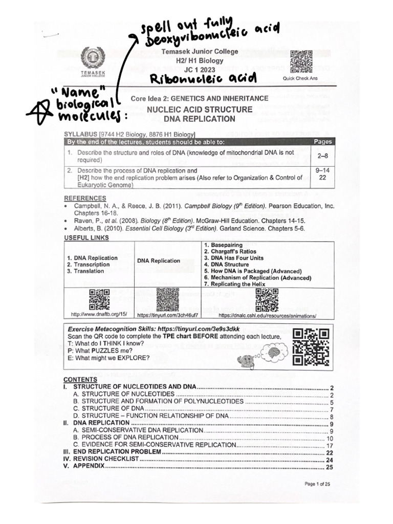 dna replication notes | PDF