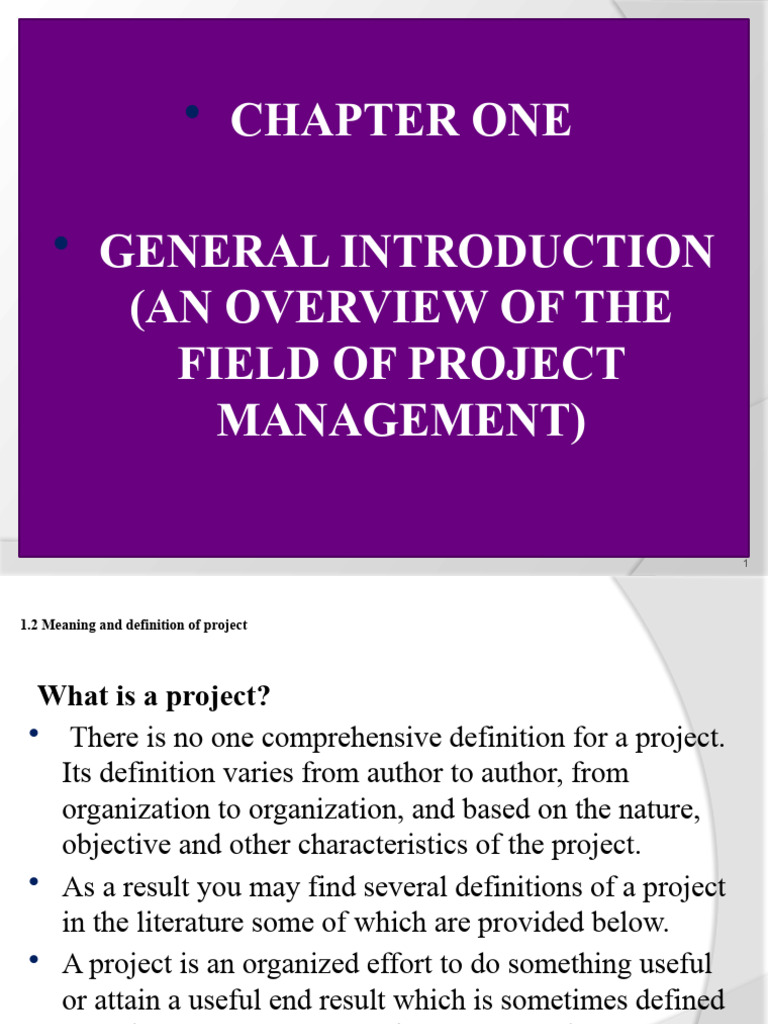 Overview of Project Management Definitions | PDF | Project Management ...
