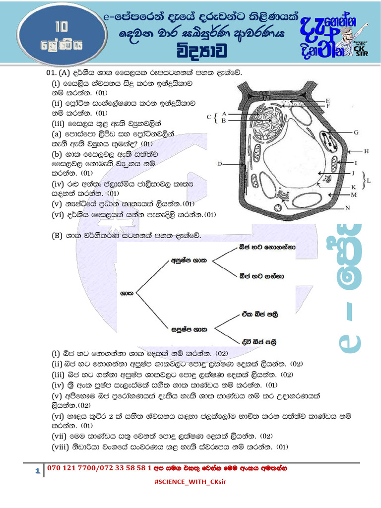 SCIENCE Grade 10 2nd Term 5hr Seminar | PDF | Foreign Language Studies ...