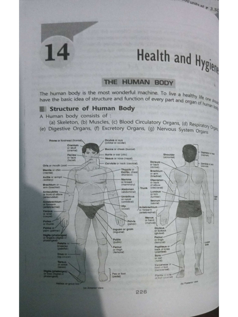 Data Structure Computer Science | PDF
