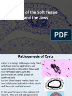 3 CYSTS of The Soft Tissues and The Jaws PDF