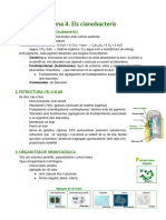 4. ELS CIANOBACTERIS-2