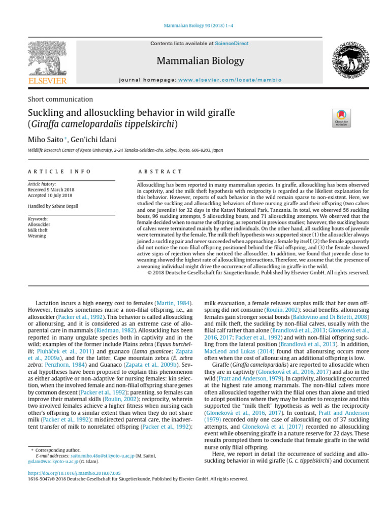 Allosuckling Behavior in Wild Giraffes | PDF | Giraffe | Breastfeeding