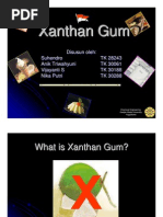 Download Xanthan Gum by Dhunung Mei Fera SN73172031 doc pdf