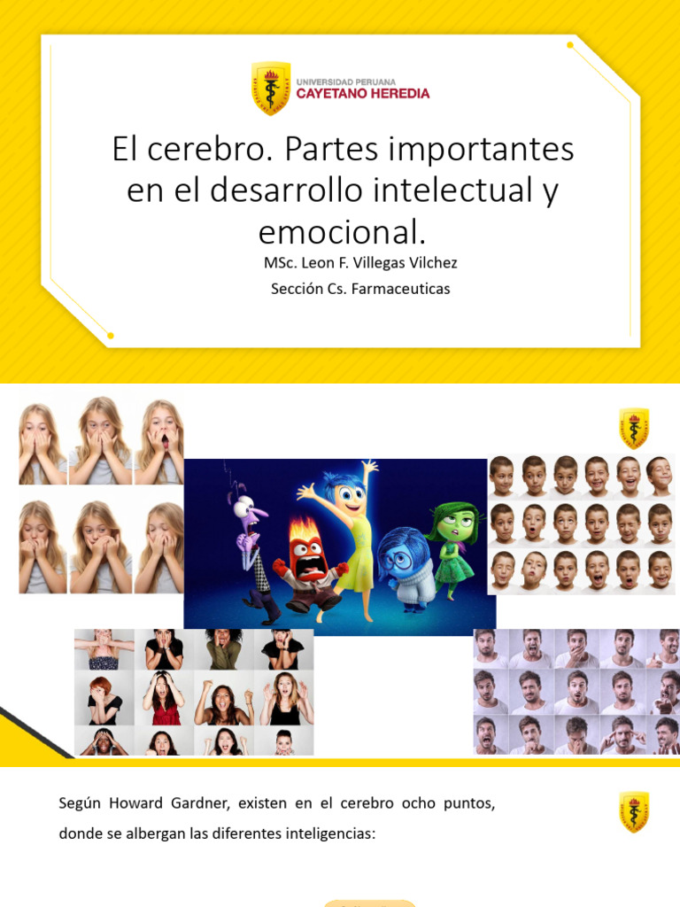 Inteligencia Emocional y Liderazgo Efectivo | PDF | Las emociones ...