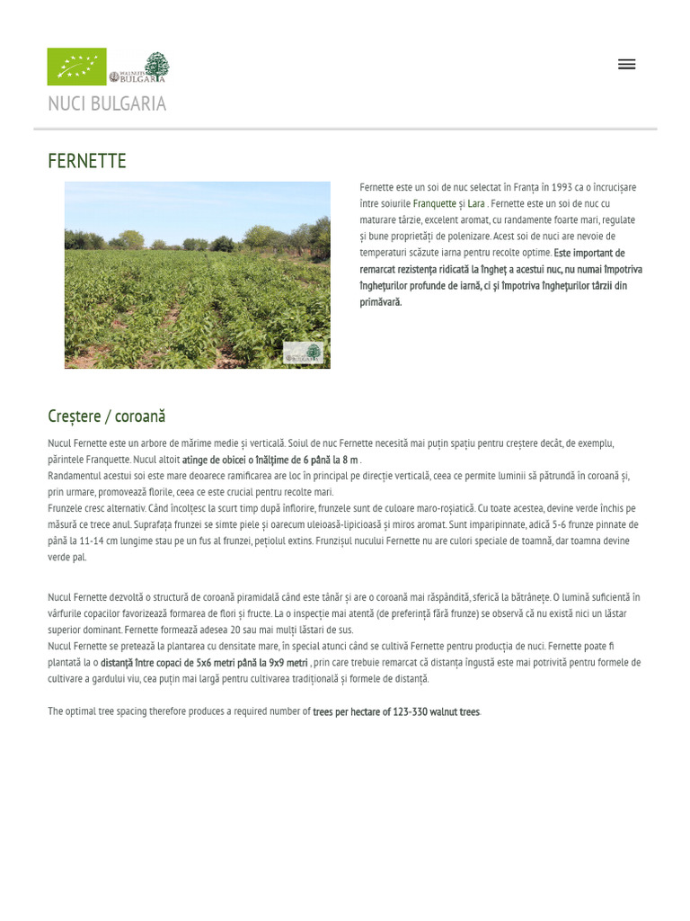Fernette Walnut: High Yield & Frost Hardy | PDF | Flowers | Nut (Fruit)