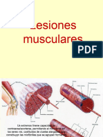 17 Lesiones Musculares