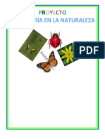 Proyecto - La Simetria de La Naturaleza