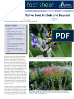 Gardening for Native Bees in Utah and Beyond