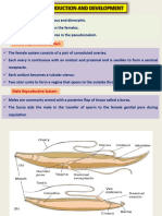 ASCHELMINTHS 2 Lecture