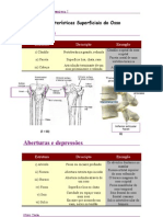 Características Superficiais do Osso