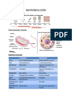 MICROBIOLOGÍA