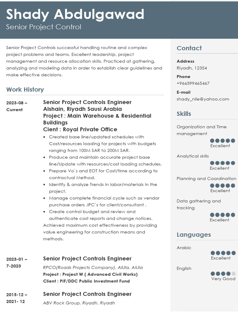 Senior Project Controls Engineer Profile | PDF | Riyadh | Business