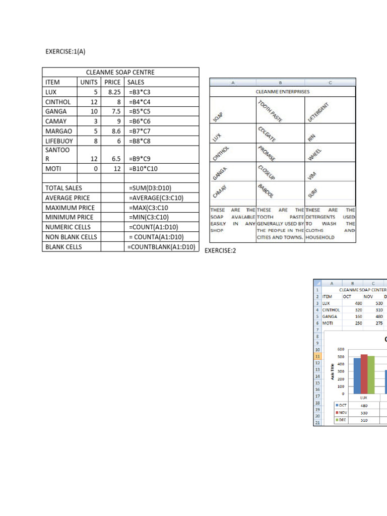 Excel Practical Exercises for Students | PDF