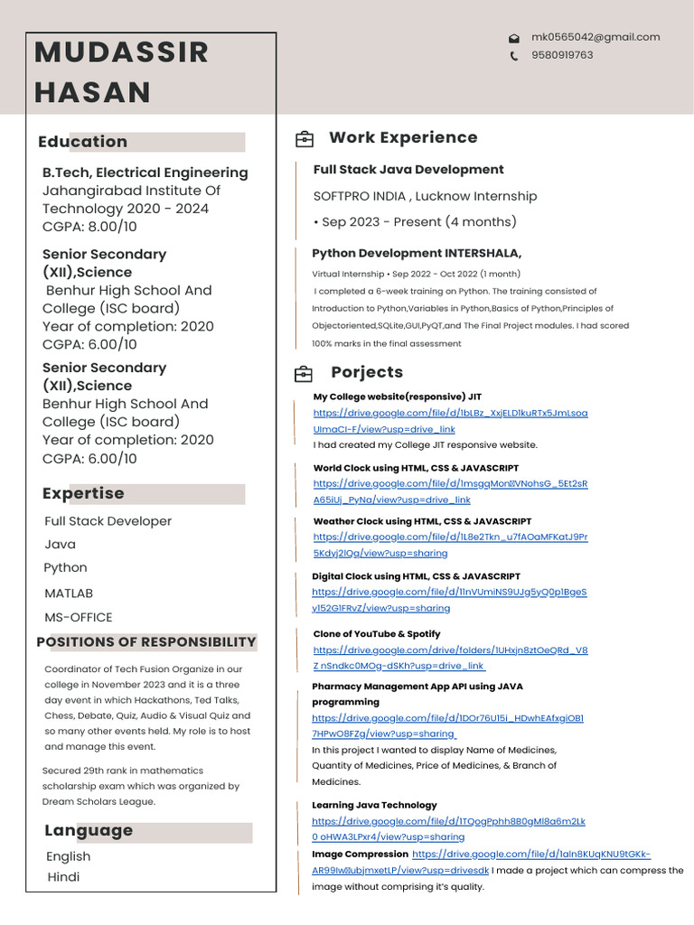 Simple Professional CV Resume | PDF | Java (Programming Language ...
