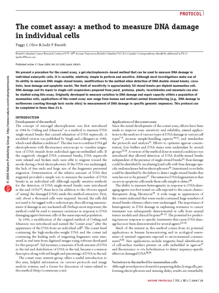 Comet Assay 2008 Nature Protocols | PDF | Dna Repair | Gel Electrophoresis