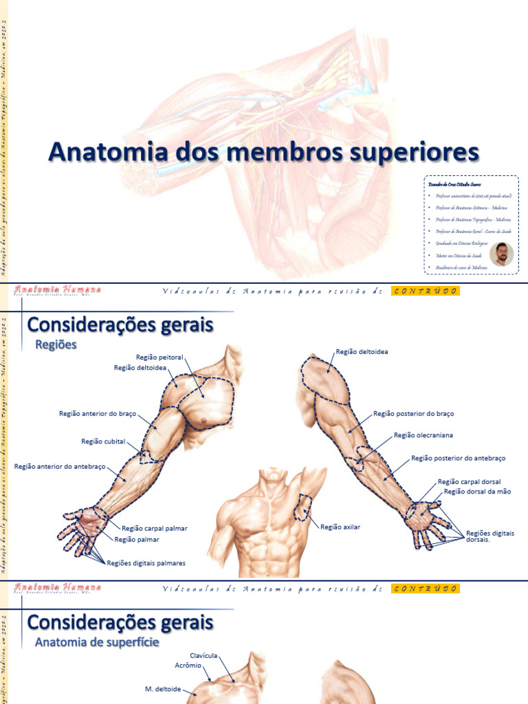 Anatomia dos Membros Superiores | PDF | Sistema Locomotor | Anatomia humana