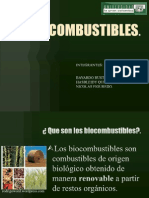 Bio Combustibles