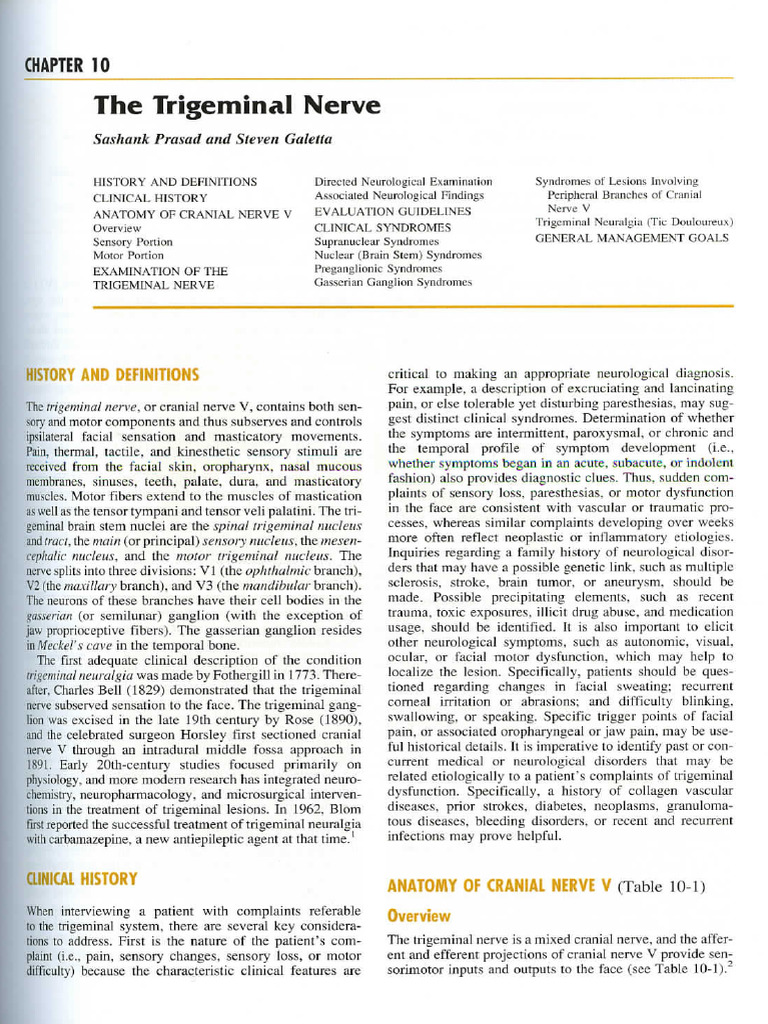 Trigeminal Nerve | PDF