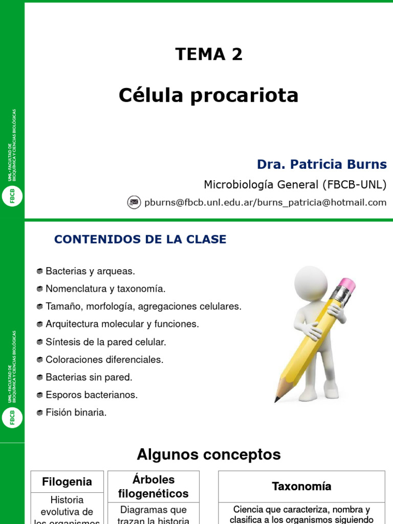 Características de las Células Procariotas | PDF | Las bacterias ...