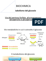 5 - 2 - 12d - Metabolismo Del Glucosio - Via Dei Pentoso Fosfati, Gluconeogenesi, Glicogenolisi e Glicogenosintesi