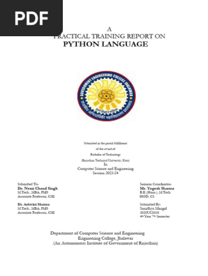Python-Report