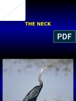 The Neck - 2